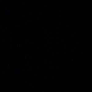 Meet your Posher, Manuel